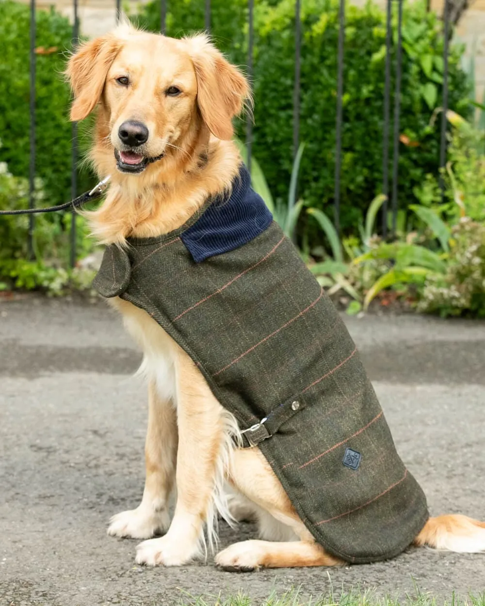 Dark Green Checked Herringbone Tweed Dog Jacket