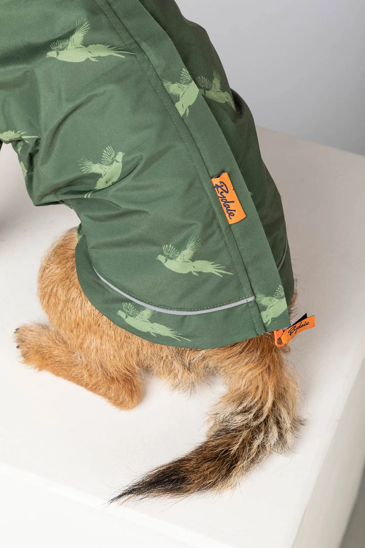 Dog Raincoats - Yapham