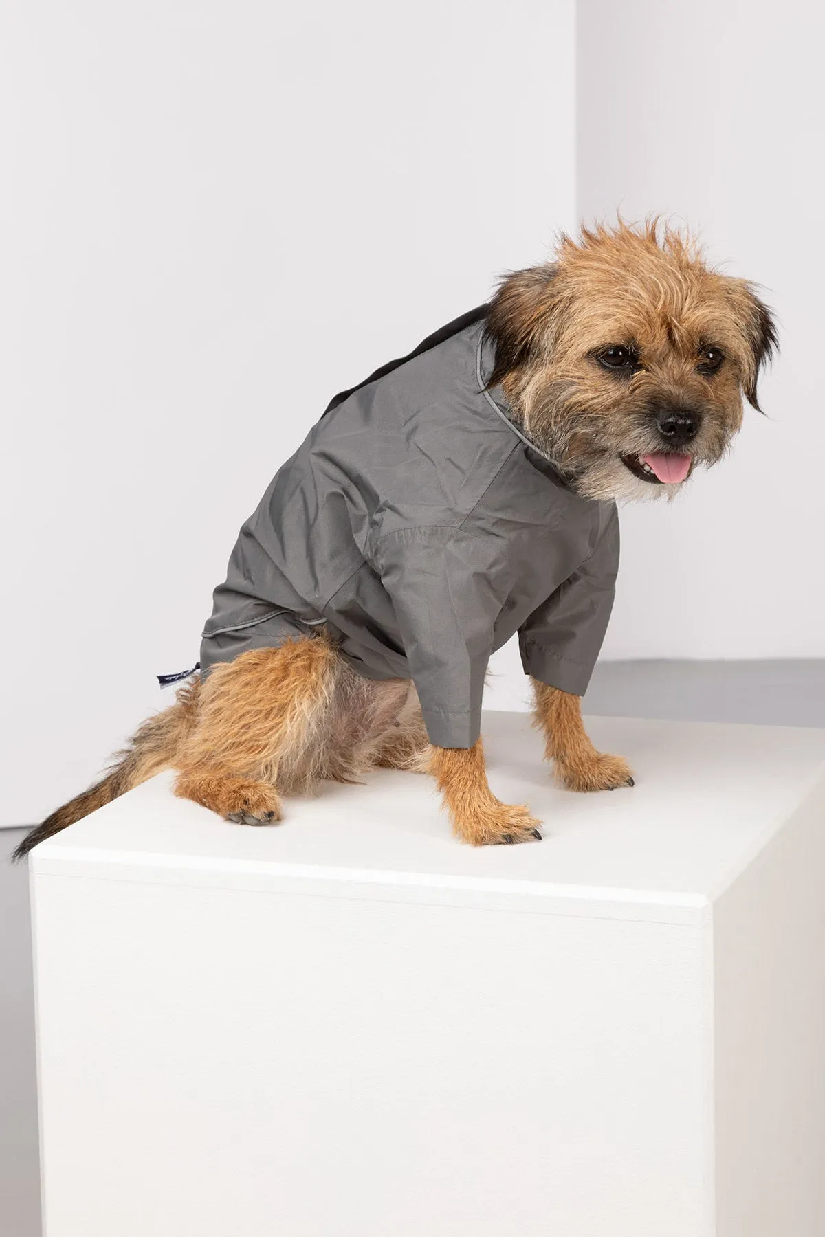 Dog Raincoats - Yapham