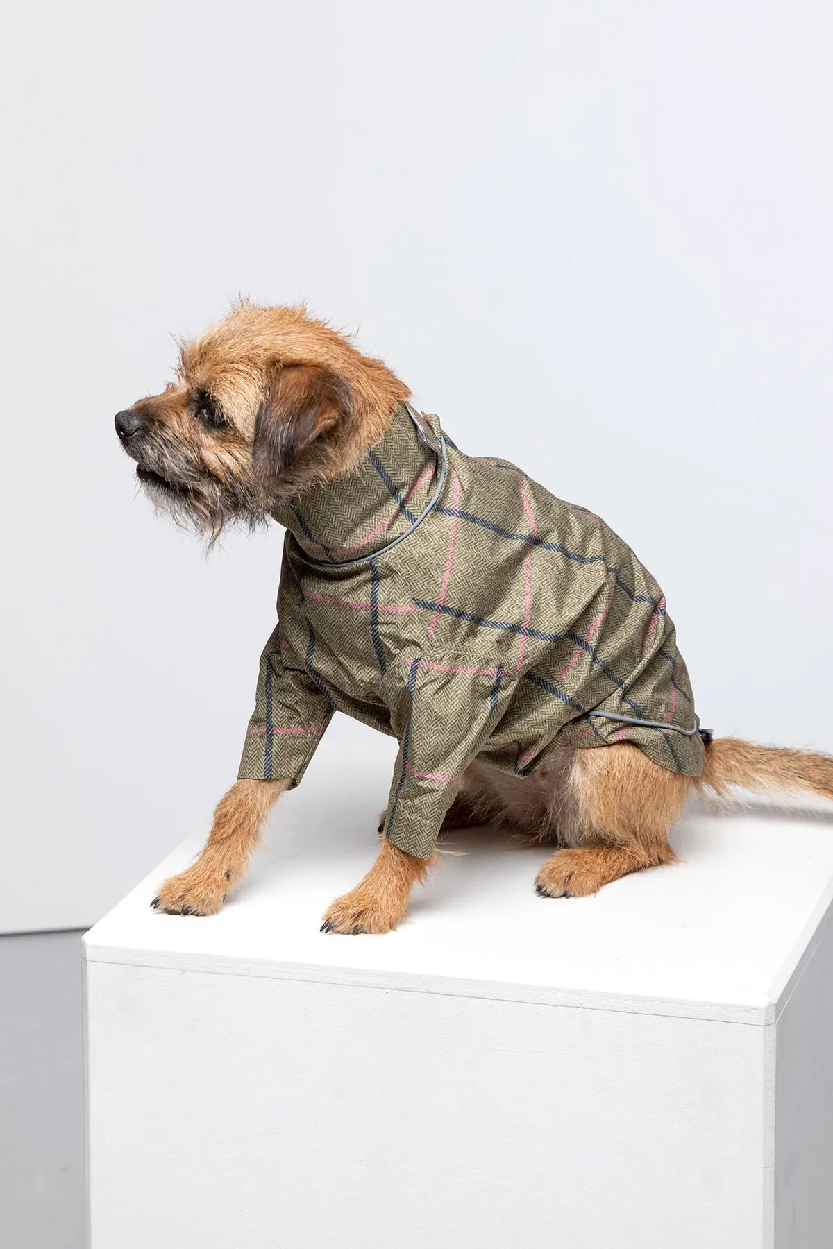 Dog Raincoats - Yapham