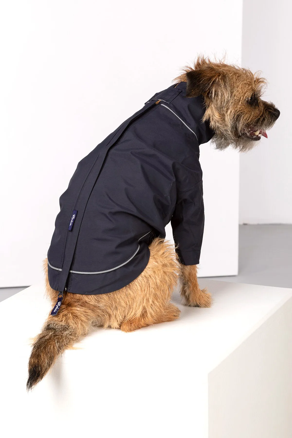 Dog Raincoats - Yapham