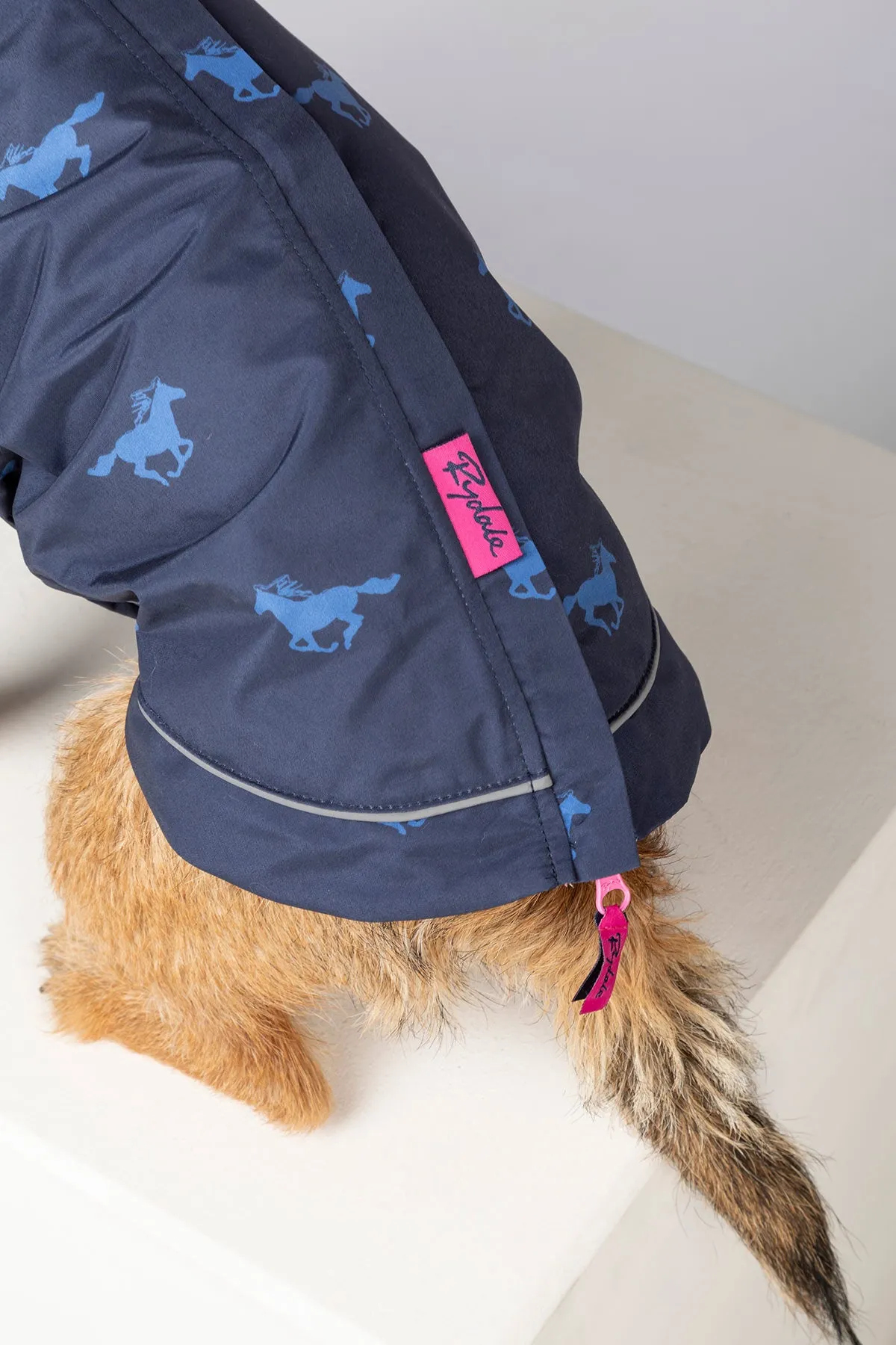 Dog Raincoats - Yapham