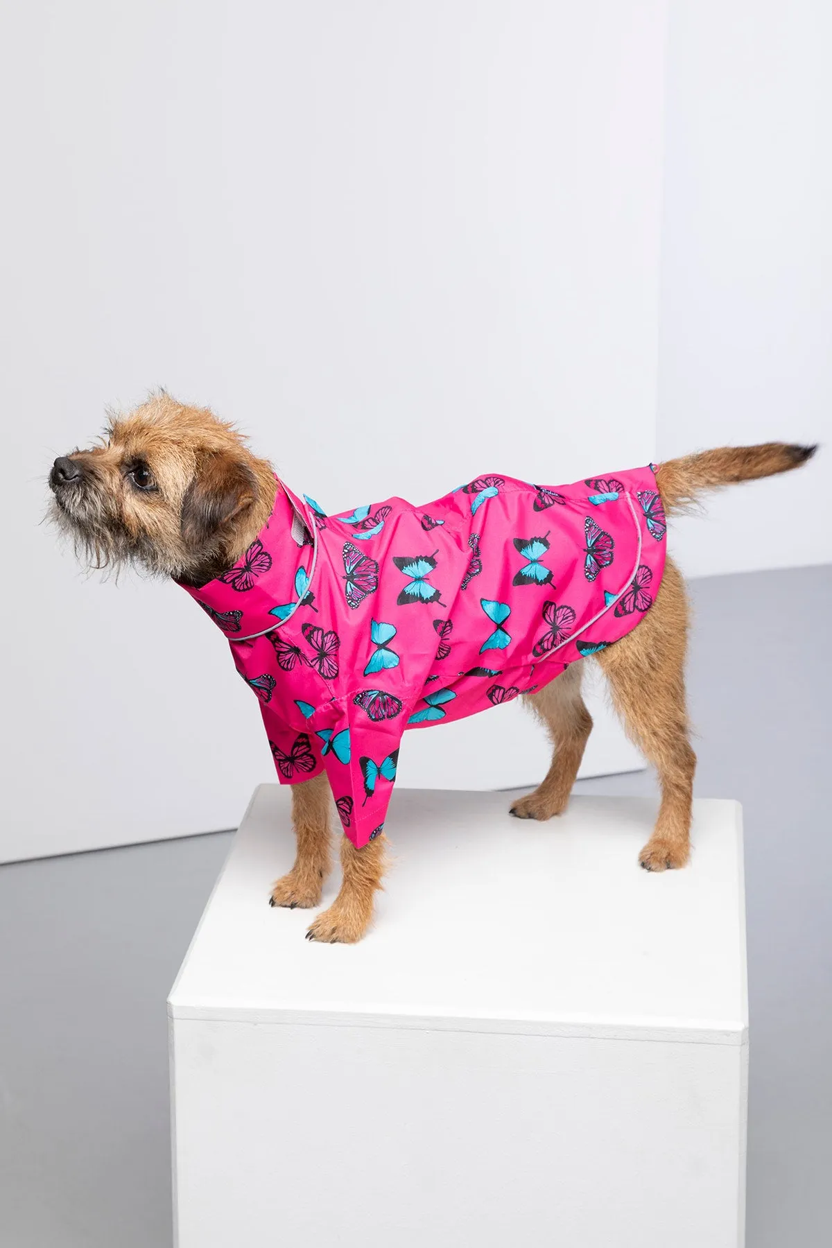 Dog Raincoats - Yapham