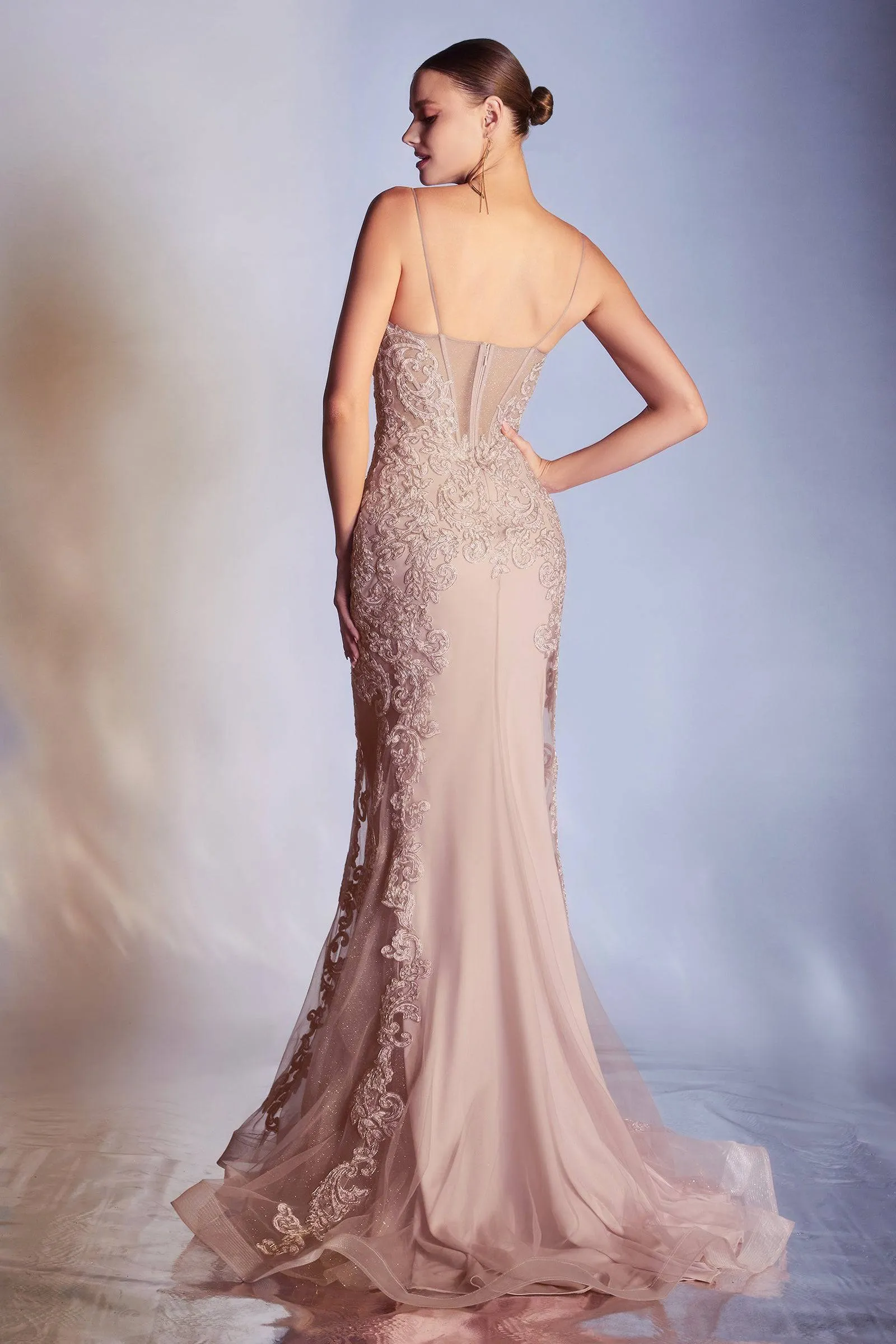 Elegant Mermaid Style Gown with Embroidered Bodice and Deep Neckline Ladivine CD945