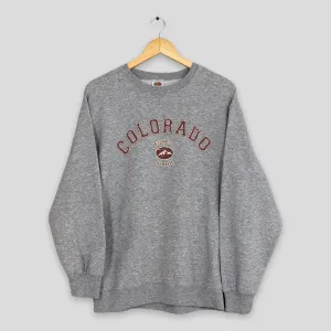 Estes Park Colorado Gray Sweatshirts Large